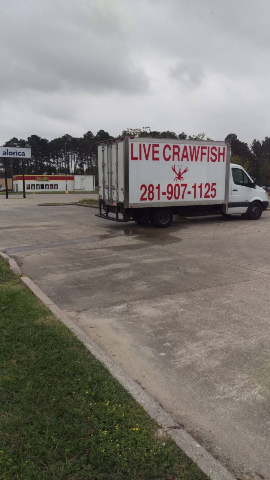 Live Crawfish of Houston | restaurant | 3187 Farm to Market 1960 Road East, Humble, TX 77338, USA | 2819071125 OR +1 281-907-1125