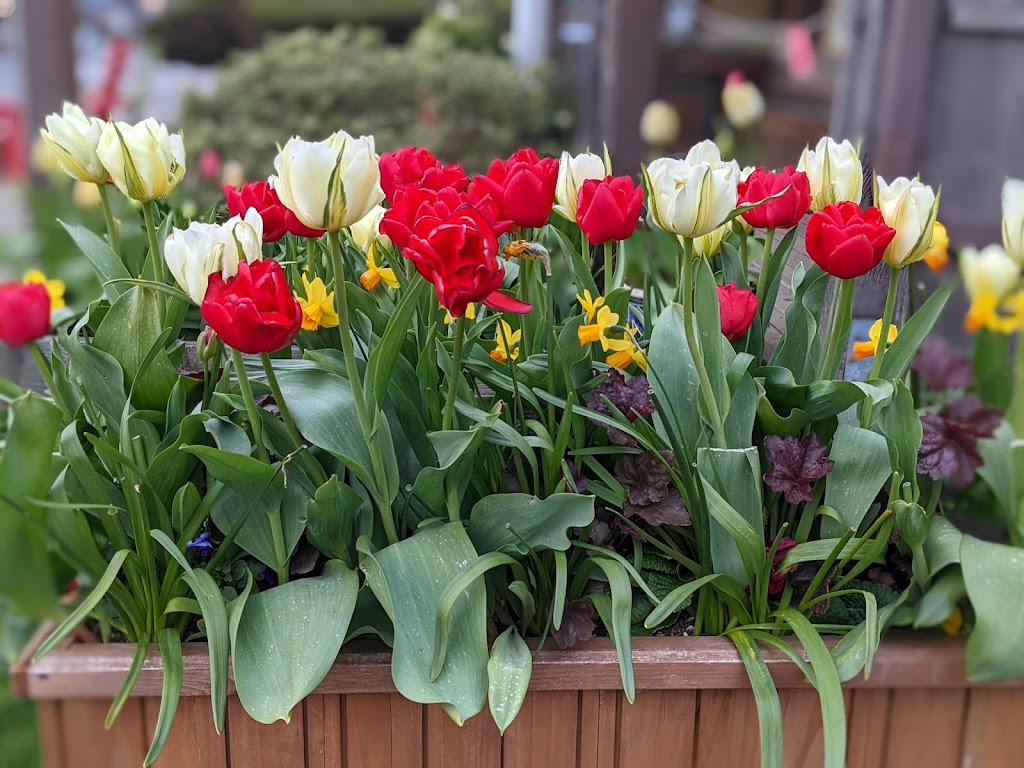 Screw and Brew | restaurant | 1287 S Hemlock St, Cannon Beach, OR 97110, USA | 5034364086 OR +1 503-436-4086