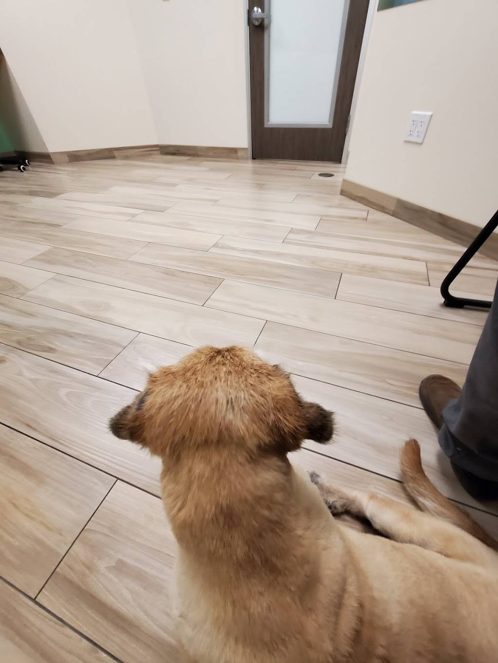 PetPoint Medical Center and Resort | restaurant | 2505 Da Vinci, Irvine, CA 92614, USA | 9495225700 OR +1 949-522-5700