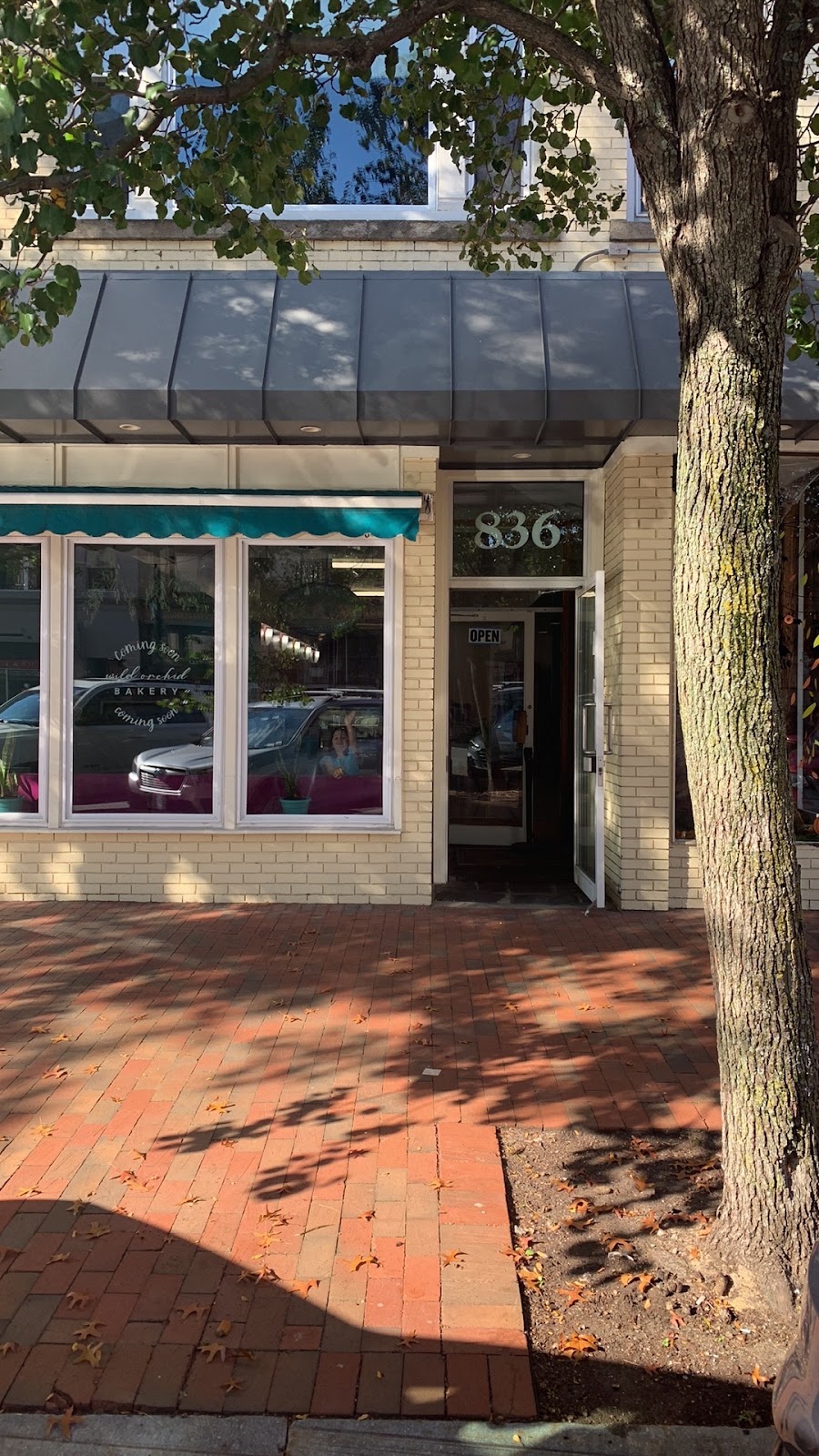 Wild Orchid Bakery | bakery | 836 Elm St, Manchester, NH 03101, USA | 6039357338 OR +1 603-935-7338