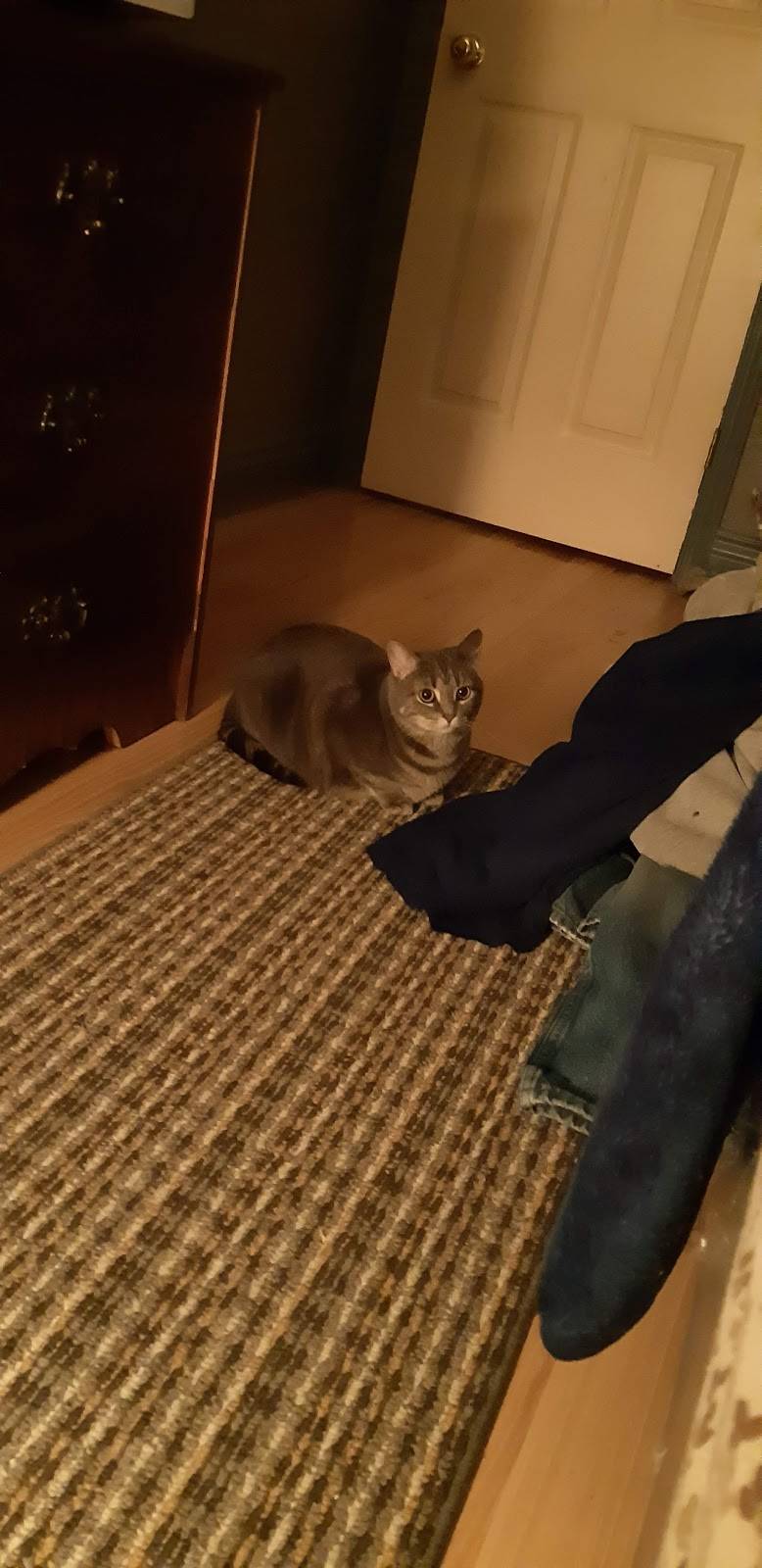 Subway | restaurant | 8 Water St Unit 1, Hastings, ON K0L 1Y0, Canada | 7056963636 OR +1 705-696-3636