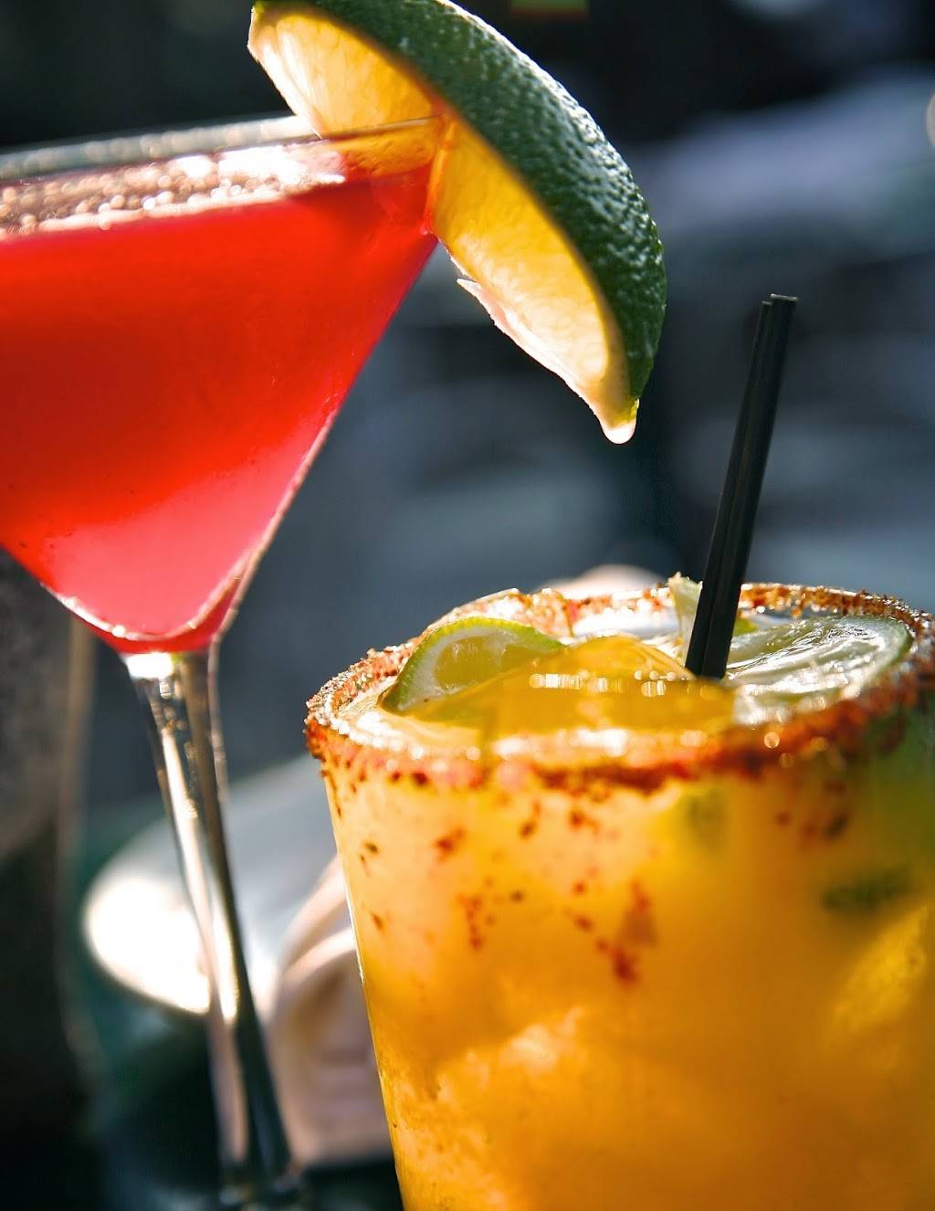 Maya Del Sol | restaurant | 144 S Oak Park Ave, Oak Park, IL 60302, USA | 7083589800 OR +1 708-358-9800