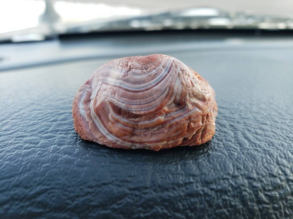 Dunn Brothers Coffee | bakery | 4 Shady Oak Rd, Hopkins, MN 55343, USA | 9524056789 OR +1 952-405-6789