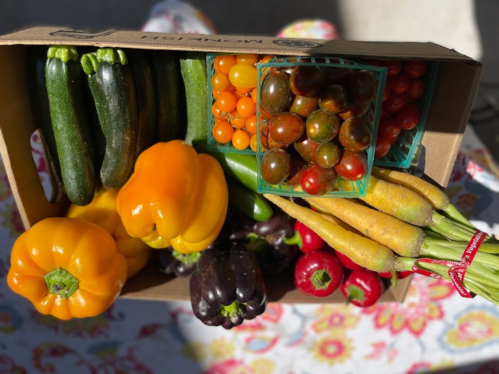 Market Pizza by Drew Butler | restaurant | 4065 Jackson Ave, Culver City, CA 90232, USA | 3103510698 OR +1 310-351-0698