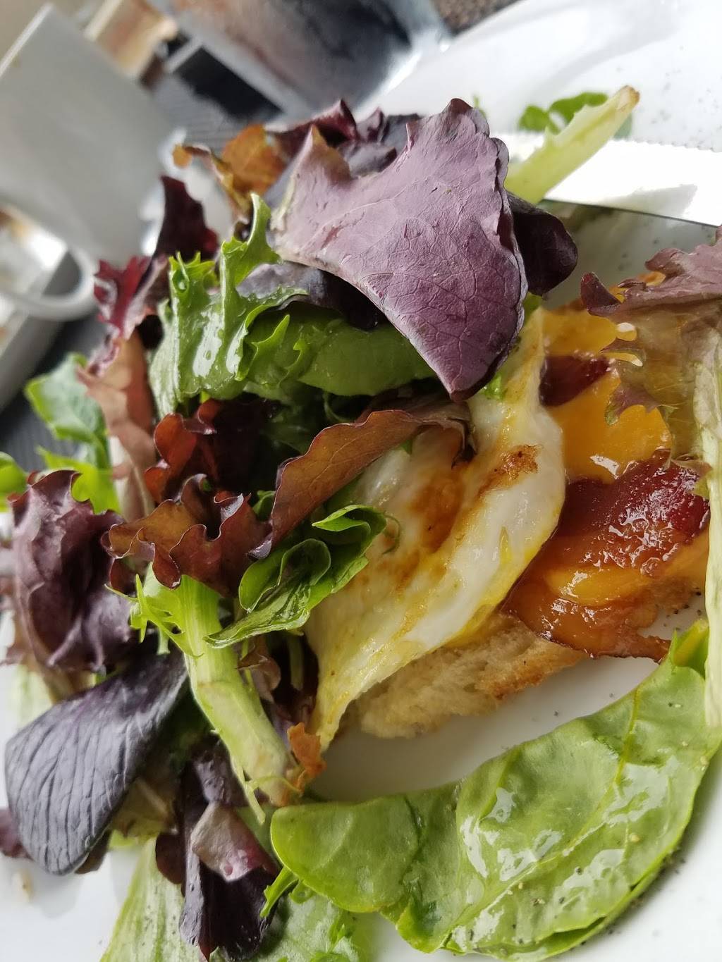 The Daily Ration | restaurant | 1220 Dartmouth St, Chattanooga, TN 37405, USA | 4233555372 OR +1 423-355-5372