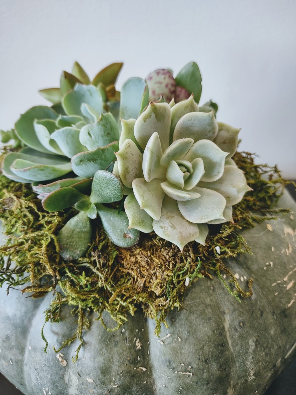 Rosies Gourmet 2 Go | restaurant | 3337 Henry Rd, Anniston, AL 36207, USA | 2563425294 OR +1 256-342-5294