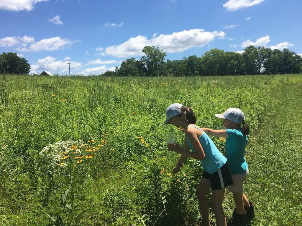 John the Baptist Beverage Company | restaurant | 33292 County 5 Blvd, Lake City, MN 55041, USA | 6513453149 OR +1 651-345-3149