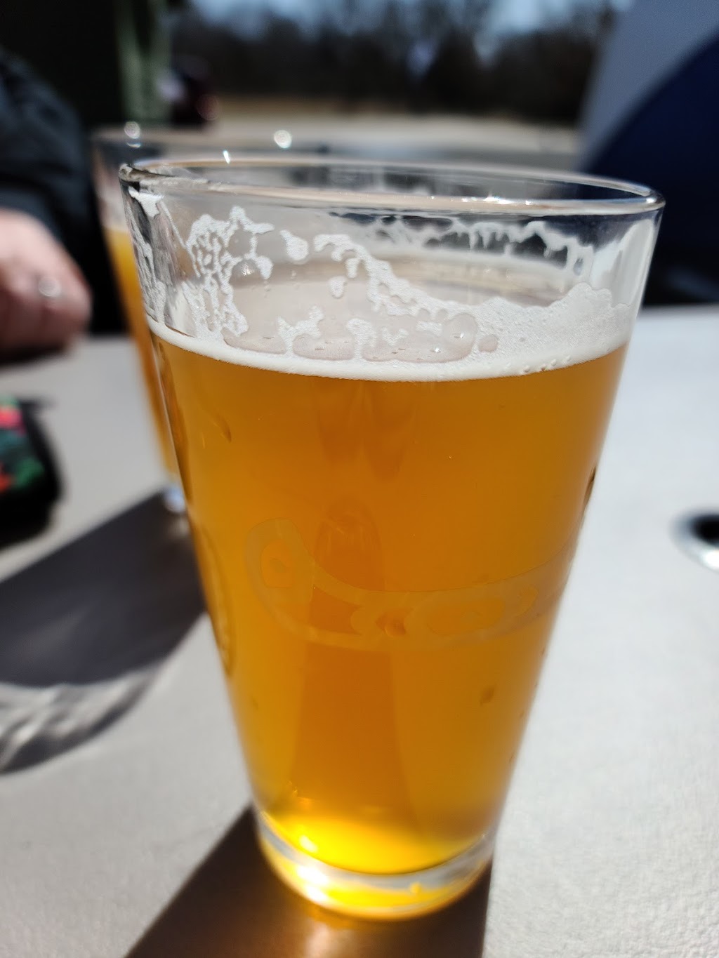 Flat River Brewing Co. | restaurant | 300 W Greenville W Dr, Greenville, MI 48838, USA | 6162322447 OR +1 616-232-2447