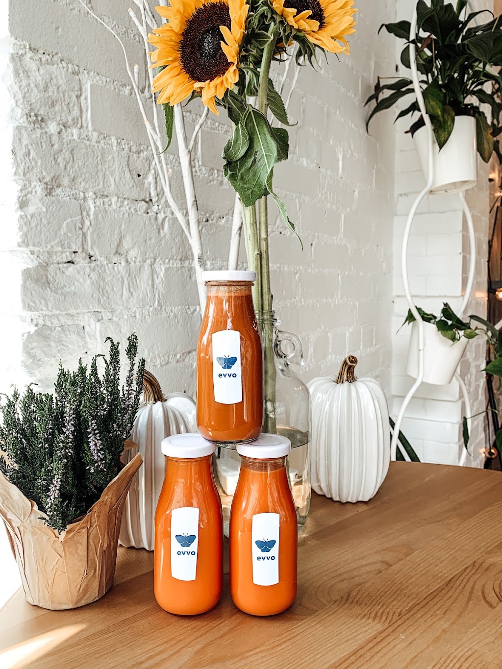 Evvo | restaurant | 340 Orange St, New Haven, CT 06511, USA | 8603577263 OR +1 860-357-7263