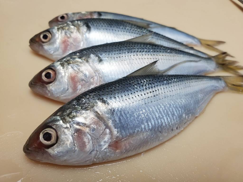 SHOKUNIN | restaurant | 8443 Haven Ave Unit 155, Rancho Cucamonga, CA 91730, USA | 9094812988 OR +1 909-481-2988