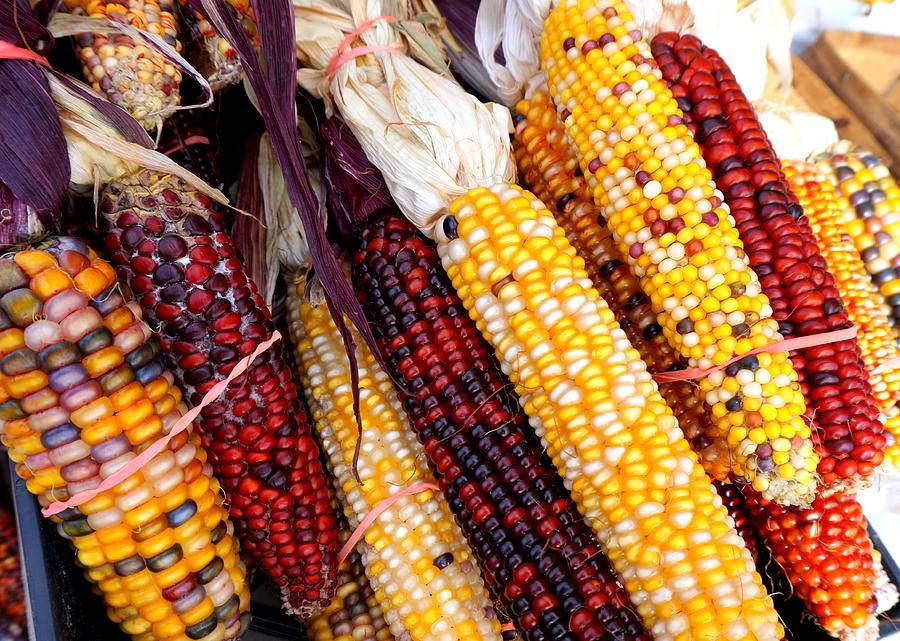 Las Milpas Restaurant #4 | restaurant | 3829 Crosstown Expy, Corpus Christi, TX 78415, USA | 3618516611 OR +1 361-851-6611