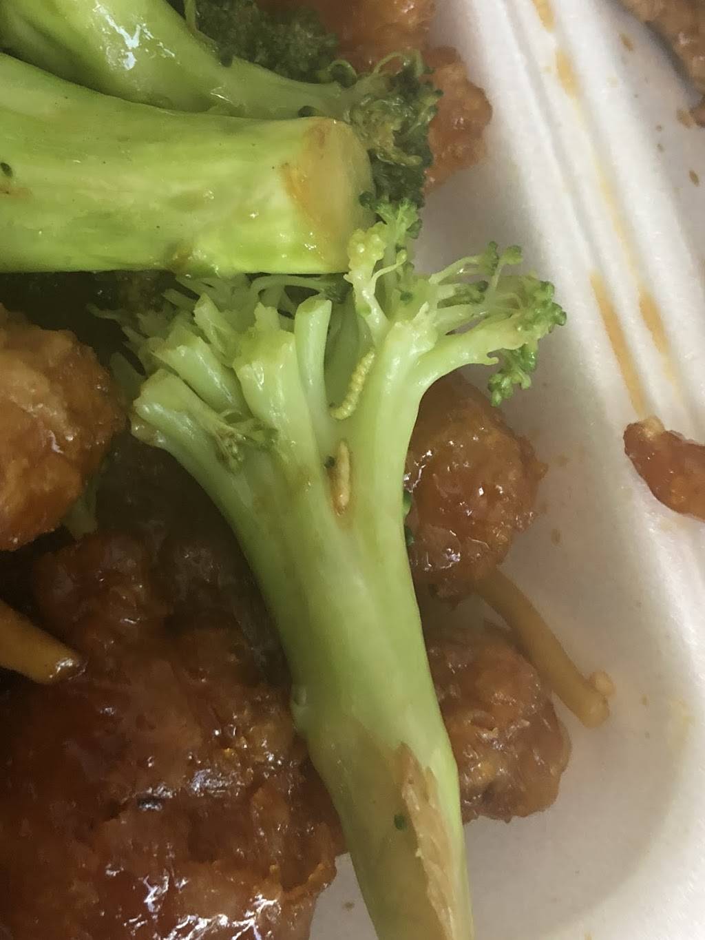 Golden Panda Kitchen | restaurant | 6343 Atlantic Ave A, Bell, CA 90201, USA | 3235609866 OR +1 323-560-9866