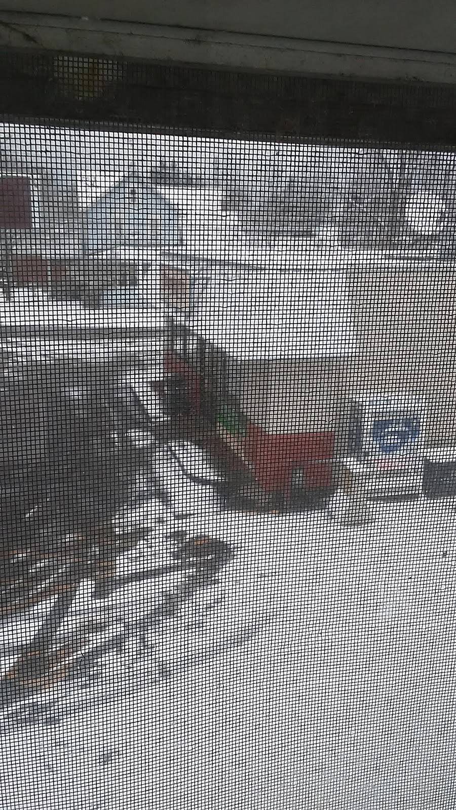 Crosbys - Angola | restaurant | 141 N Main St, Angola, NY 14006, USA | 7165497488 OR +1 716-549-7488