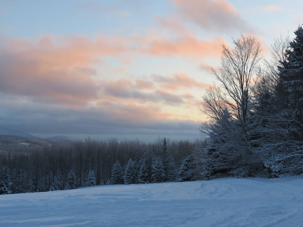 Érablière Au Tournant des Saisons | restaurant | 454 10e Rang E, Bonsecours, QC J0E 1H0, Canada | 4505325388 OR +1 450-532-5388