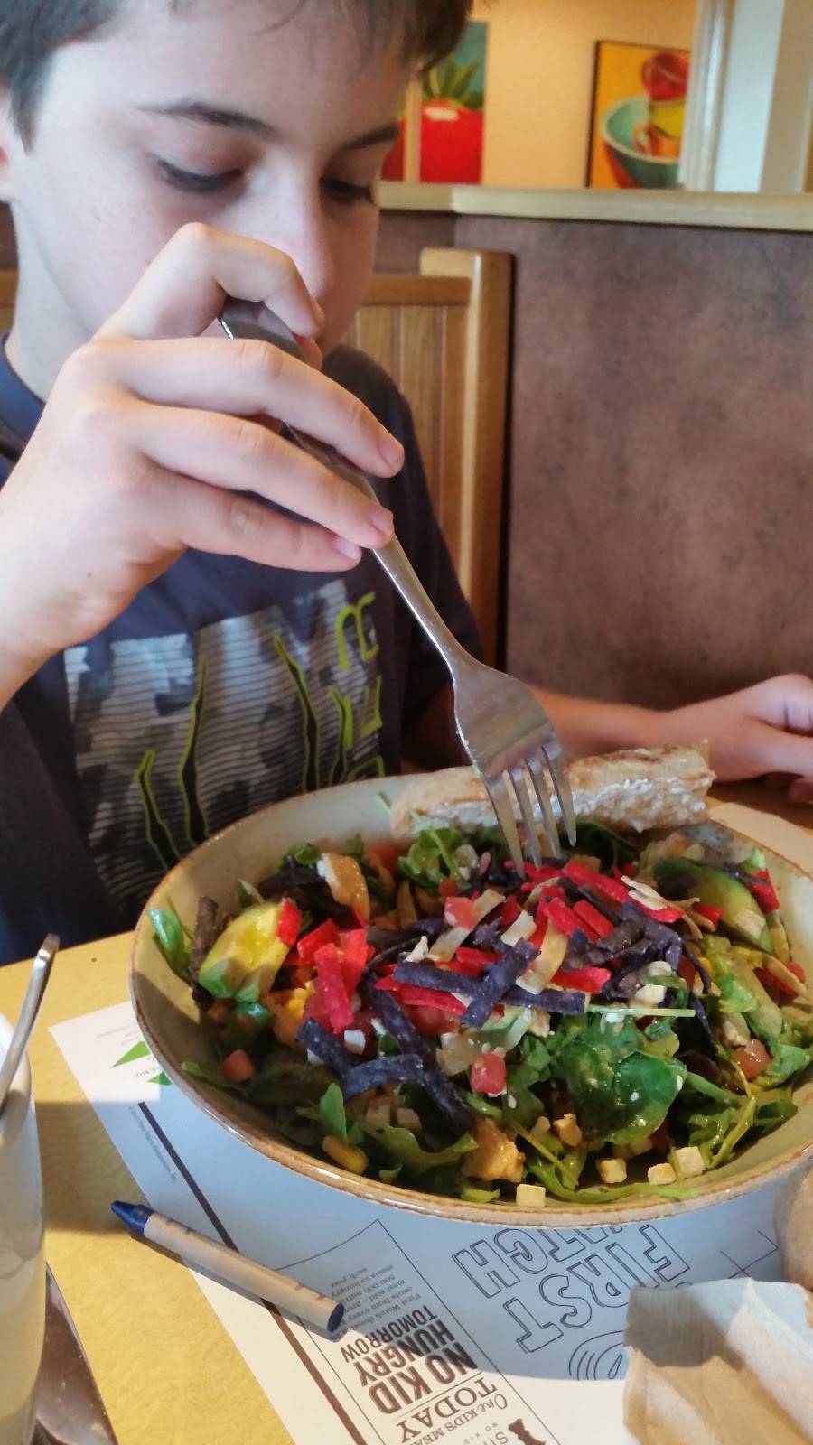 First Watch - Longwood | restaurant | 2425 W State Rd 434, Longwood, FL 32779, USA | 4077741830 OR +1 407-774-1830