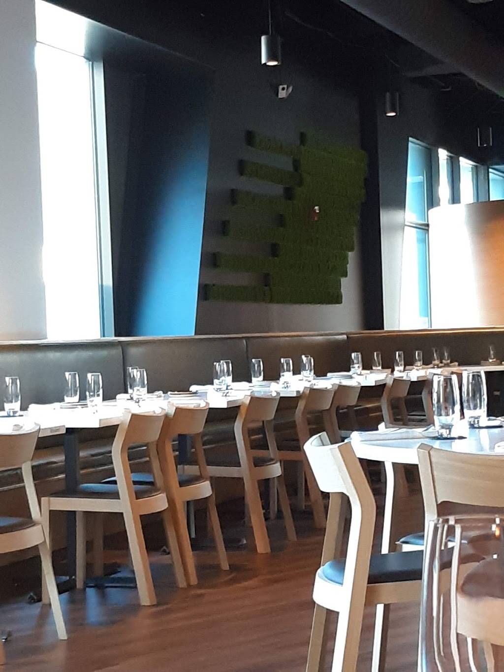 The Chocolate Pig | restaurant | 4220 Duncan Ave, St. Louis, MO 63110, USA | 3142723230 OR +1 314-272-3230