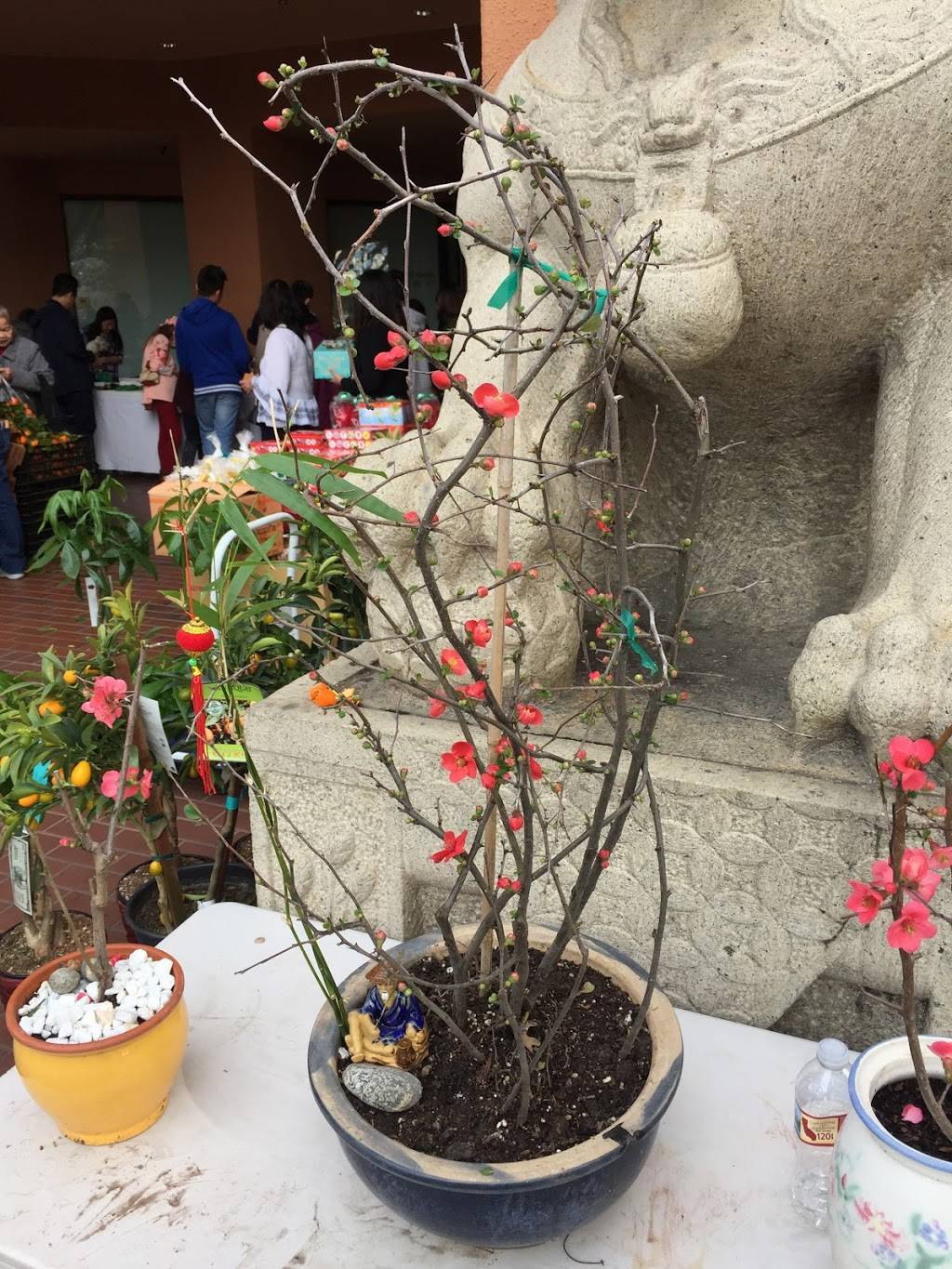 Kims Sandwiches | restaurant | 1816 Tully Rd # 182, San Jose, CA 95122, USA | 4082708903 OR +1 408-270-8903