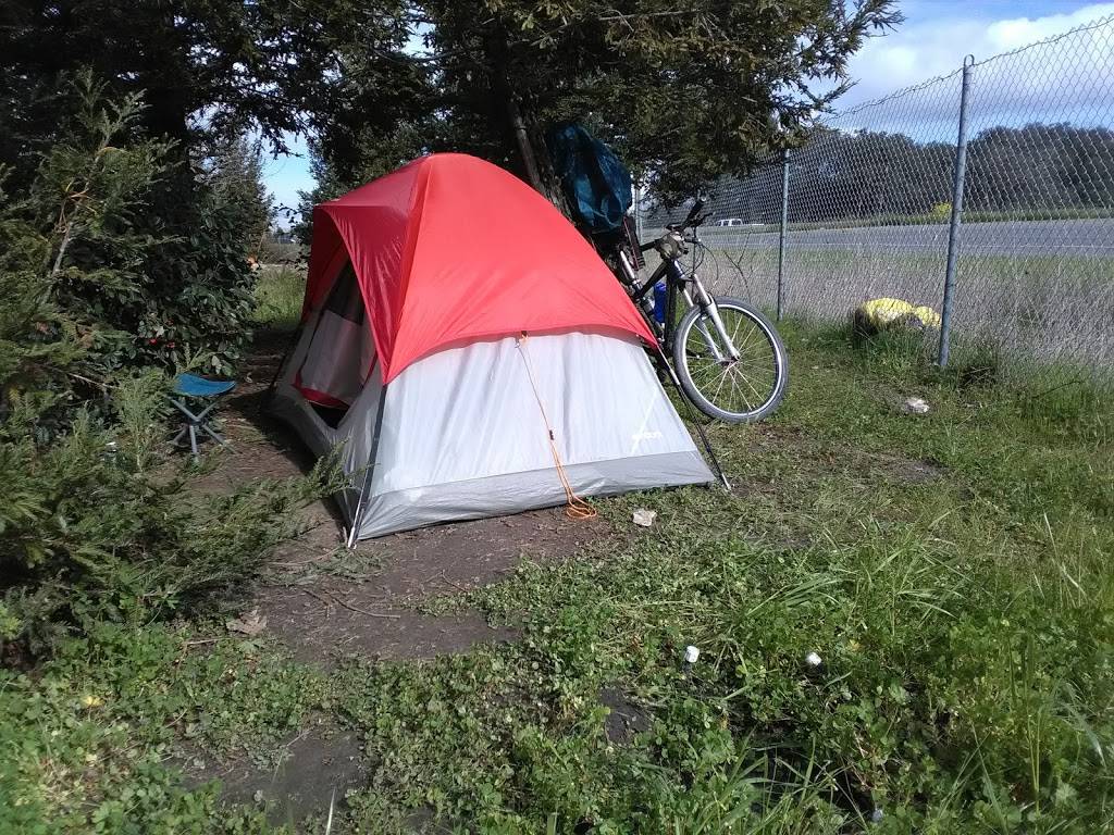 Starbucks | cafe | 860 Hopper Ave, Santa Rosa, CA 95403, USA | 7075283116 OR +1 707-528-3116