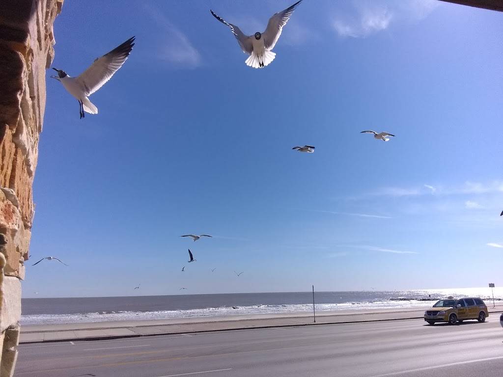 Gaidos Of Galveston Inc. | restaurant | 3800 Seawall Blvd, Galveston, TX 77550, USA | 4097629625 OR +1 409-762-9625