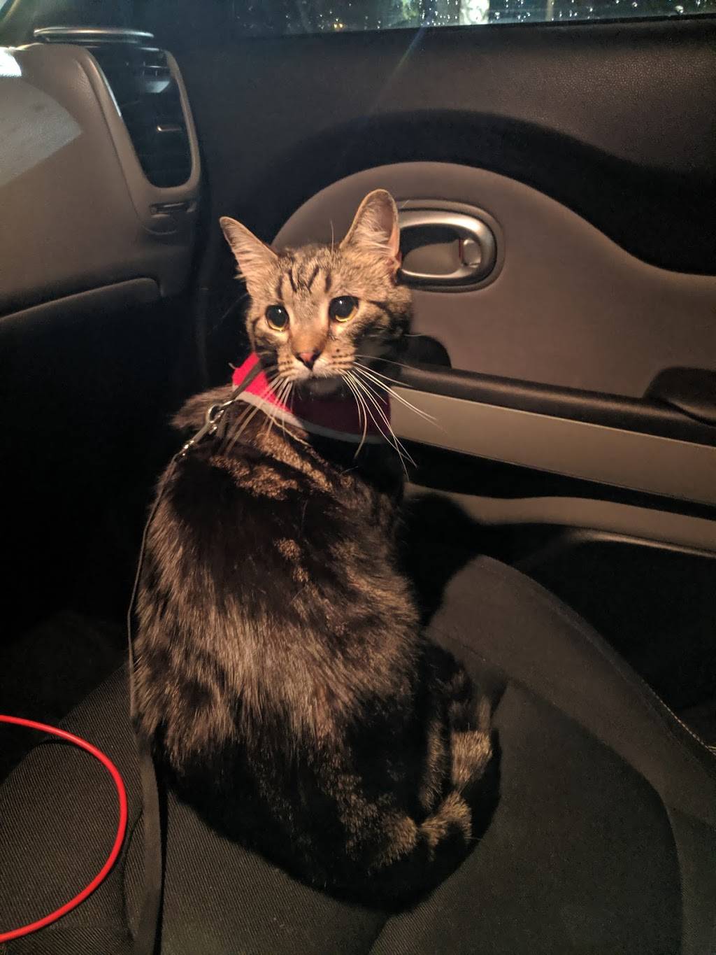 Blackjack Pizza & Salads | meal delivery | 1501 W Elizabeth St #3, Fort Collins, CO 80521, USA | 9702215454 OR +1 970-221-5454