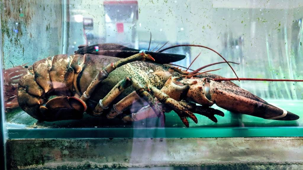 Champagne Seafood Restaurant | restaurant | 88 E 4th Ave, San Mateo, CA 94401, USA | 6503436988 OR +1 650-343-6988