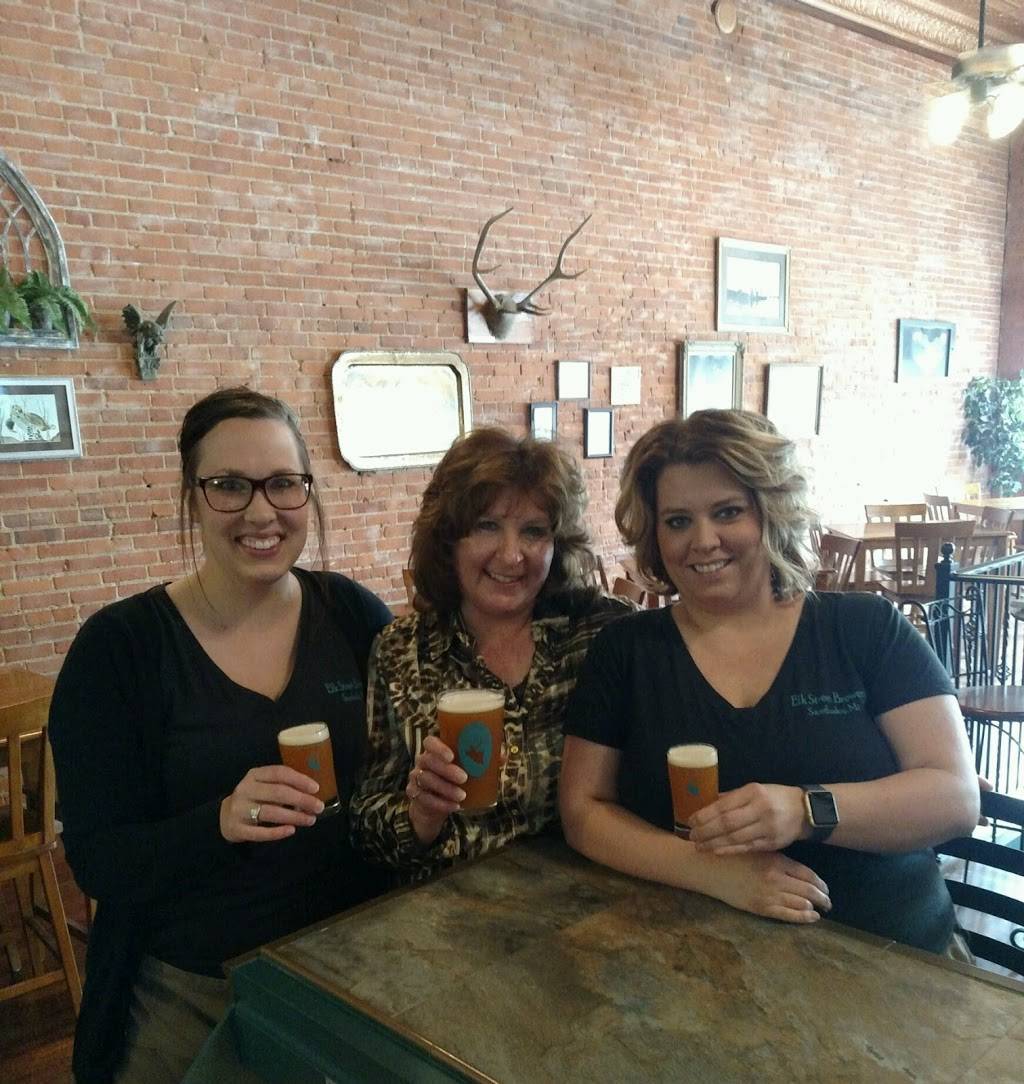 Elk Street Brewery Ltd. & Tap Room | restaurant | 3 S Elk St, Sandusky, MI 48471, USA | 8106481600 OR +1 810-648-1600