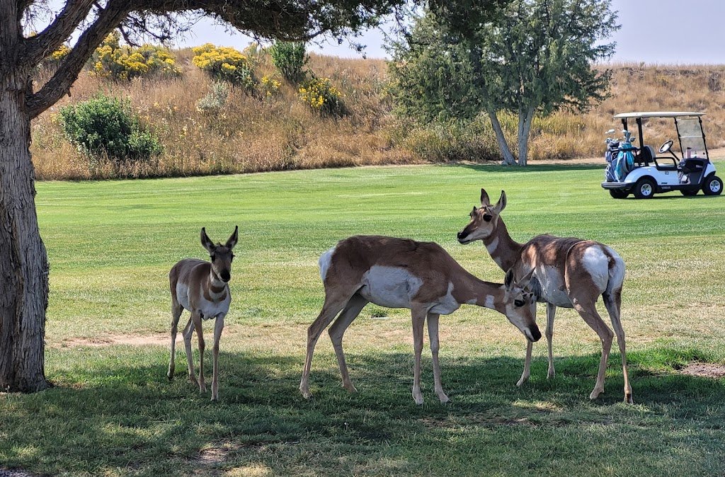 Casper Municipal Golf Course | restaurant | 2120 Allendale Blvd, Casper, WY 82601, USA | 3072336620 OR +1 307-233-6620