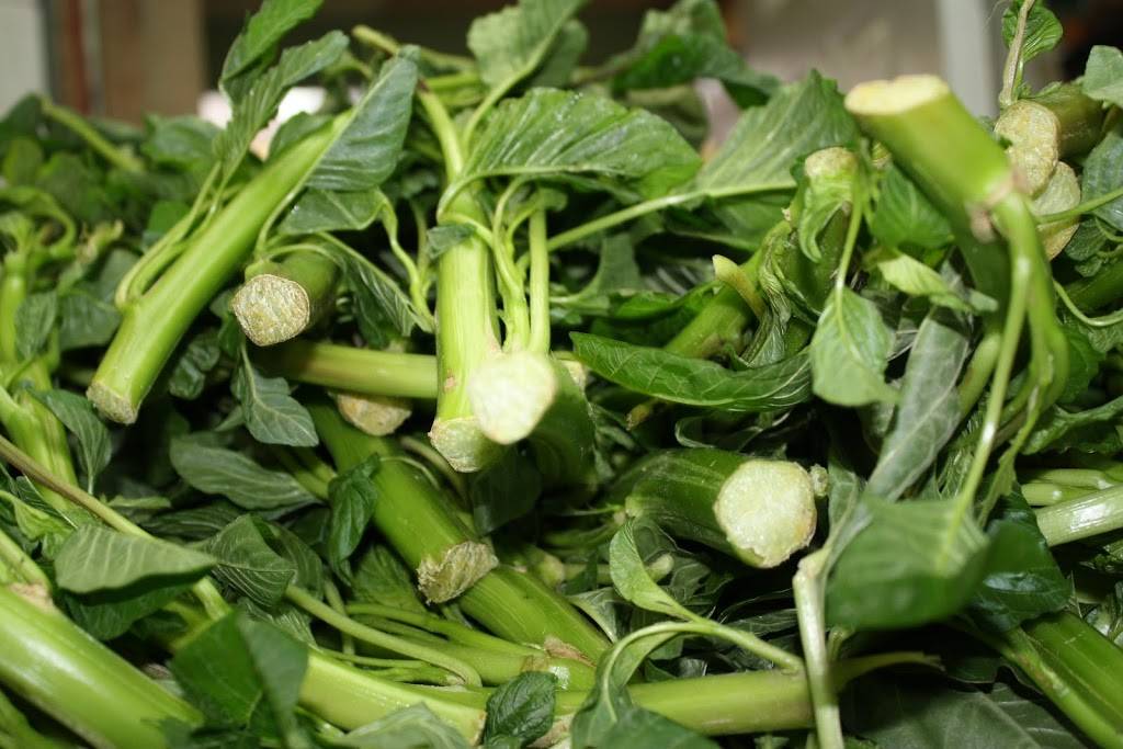 Lloyds Jamaican Restaurant | restaurant | 1710 Jane St, York, ON M9N 2S4, Canada | 4162422436 OR +1 416-242-2436