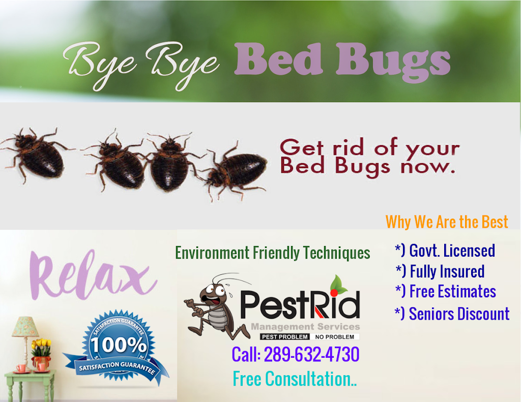 PestRid Pest Control Services | restaurant | 16 Madison St, Brampton, ON L6S 3C5, Canada | 2898003355 OR +1 289-800-3355