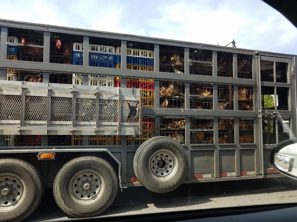 Roscoe Square | shopping mall | 3330 N Western Ave, Chicago, IL 60618, USA | 6306452800 OR +1 630-645-2800