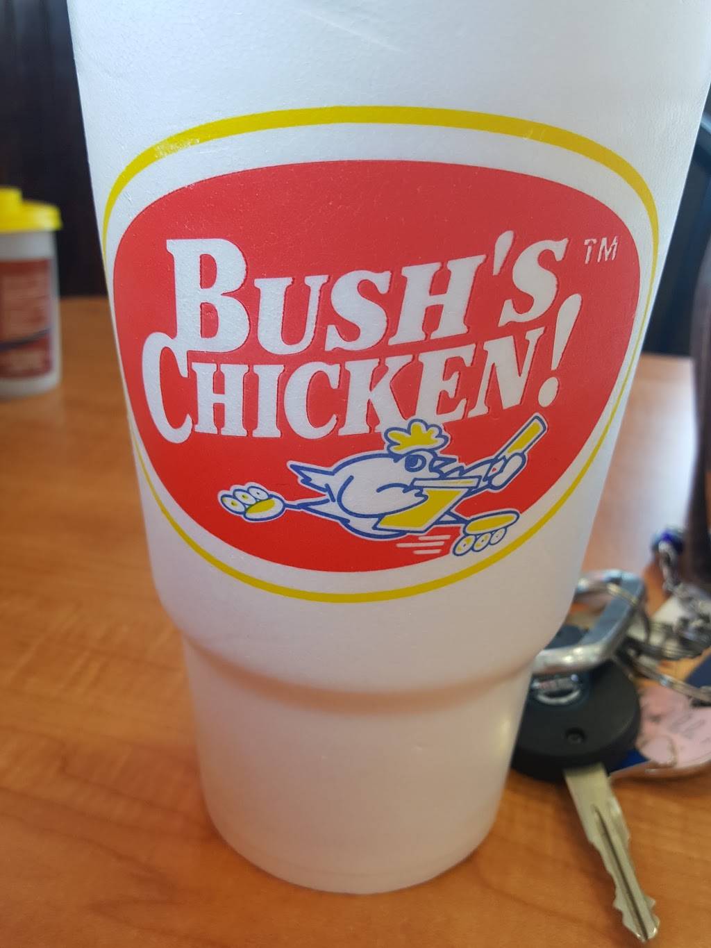 Bushs Chicken | restaurant | 11061 Westwood Loop, San Antonio, TX 78253, USA | 2106880415 OR +1 210-688-0415