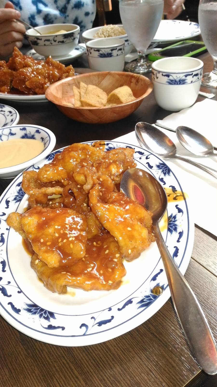 Hunan Chinese Room | meal takeaway | 255 Speedwell Ave, Morris Plains, NJ 07950, USA | 9732851117 OR +1 973-285-1117