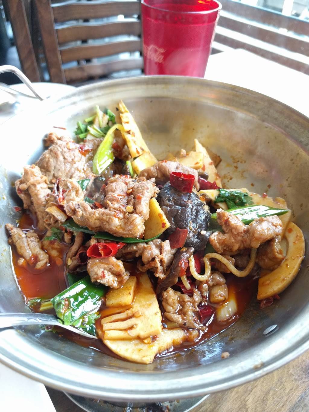 Han Dynasty | restaurant | 4356 Main St, Philadelphia, PA 19127, USA | 2155082066 OR +1 215-508-2066