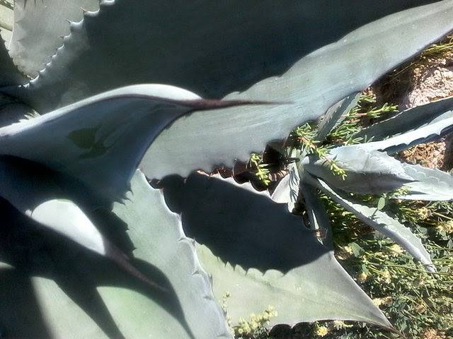 La Cabaña Del Adobe, Ruta Del Vino, Ensenada, B.C., Mexico. | restaurant | Ensenada, Baja California, Mexico | 016461839381 OR +52 646 183 9381