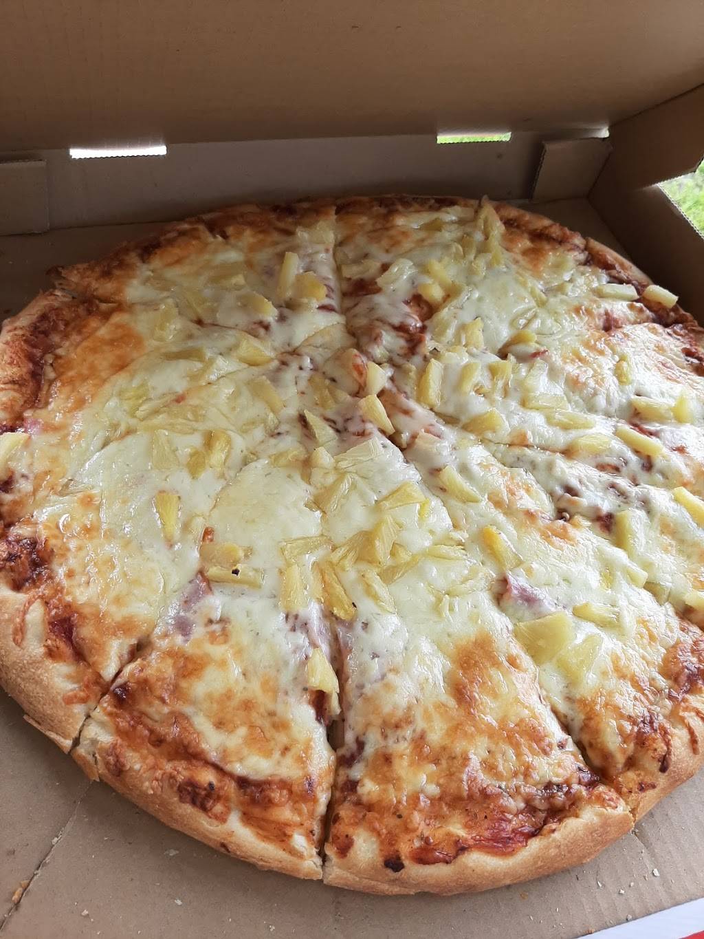 Willys Pizza | restaurant | 1541 Merivale Rd, Nepean, ON K2G 5W1, Canada | 6137231234 OR +1 613-723-1234