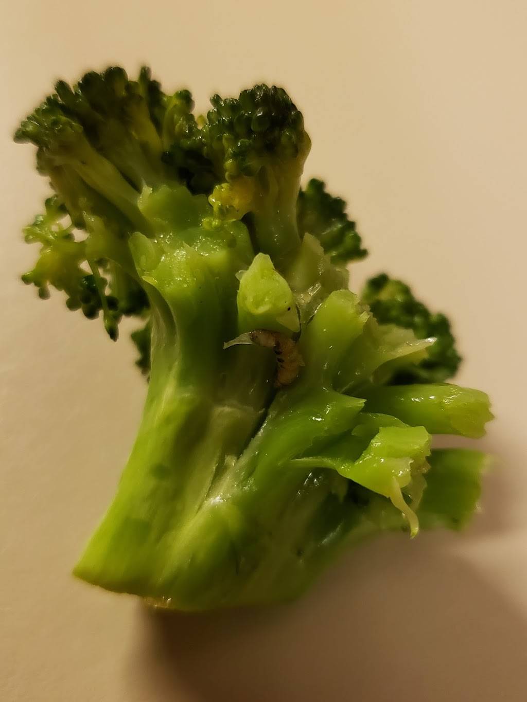 Dynasty Cuisine Inc | restaurant | 1012, 702 W Southmore Ave, Pasadena, TX 77502, USA | 7135890886 OR +1 713-589-0886