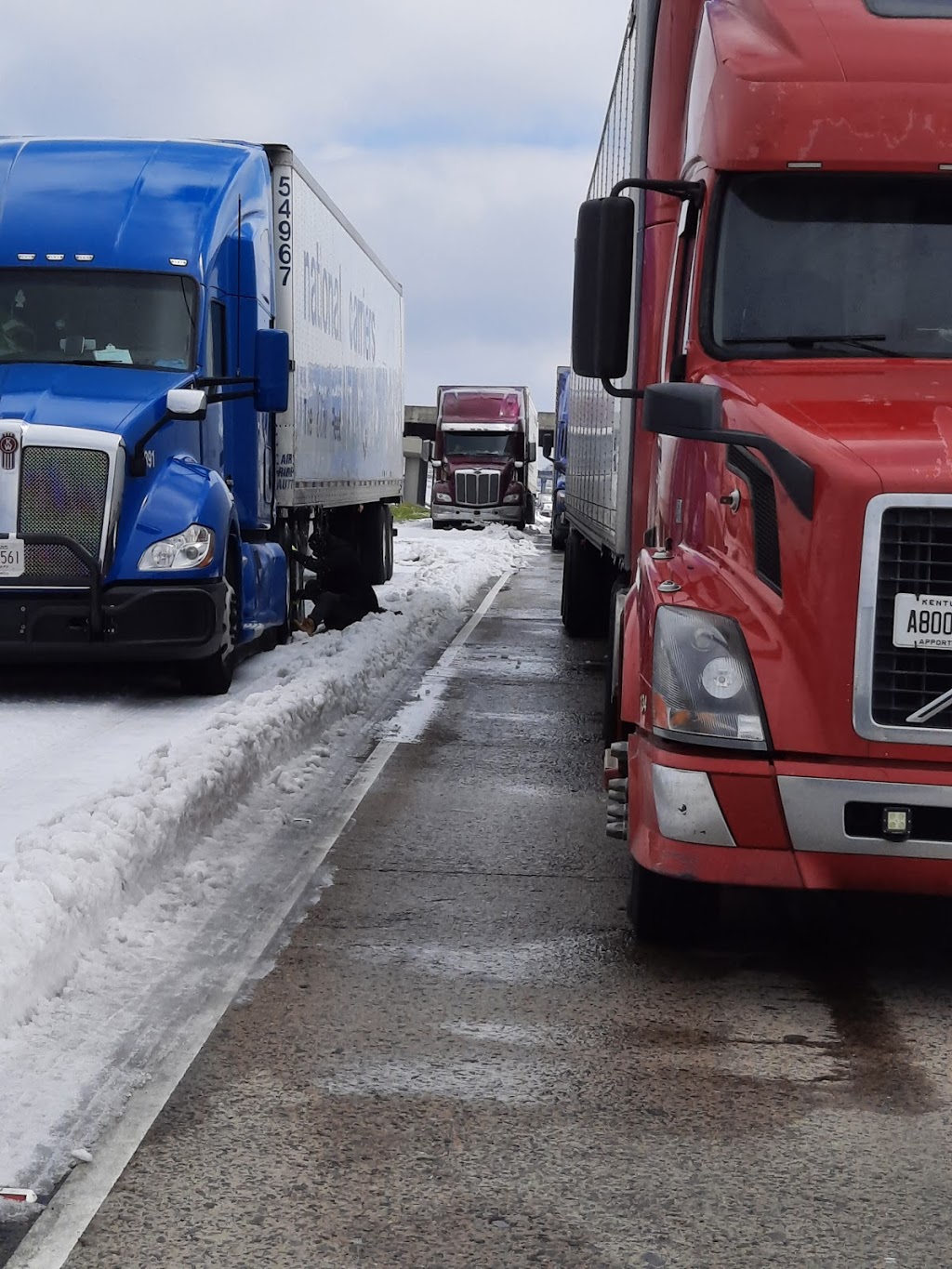 Raising Canes Chicken Fingers | meal takeaway | 659 North Service Rd E, Ruston, LA 71270, USA | 3182540354 OR +1 318-254-0354