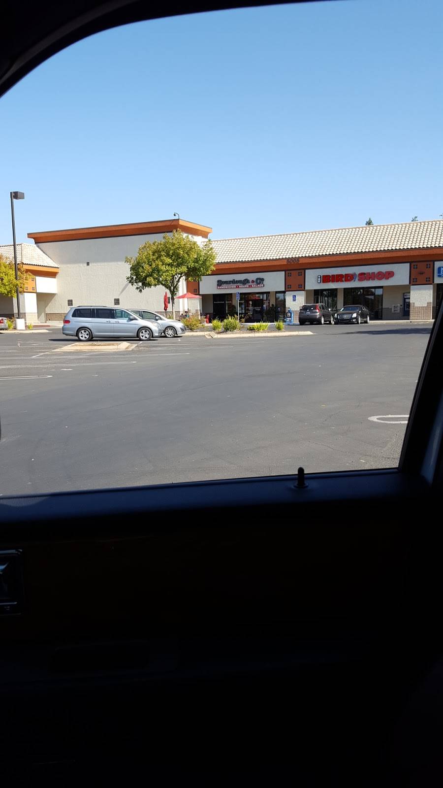 Sourdough & Co. | restaurant | 5005 Foothills Blvd #7, Roseville, CA 95747, USA | 9167714661 OR +1 916-771-4661