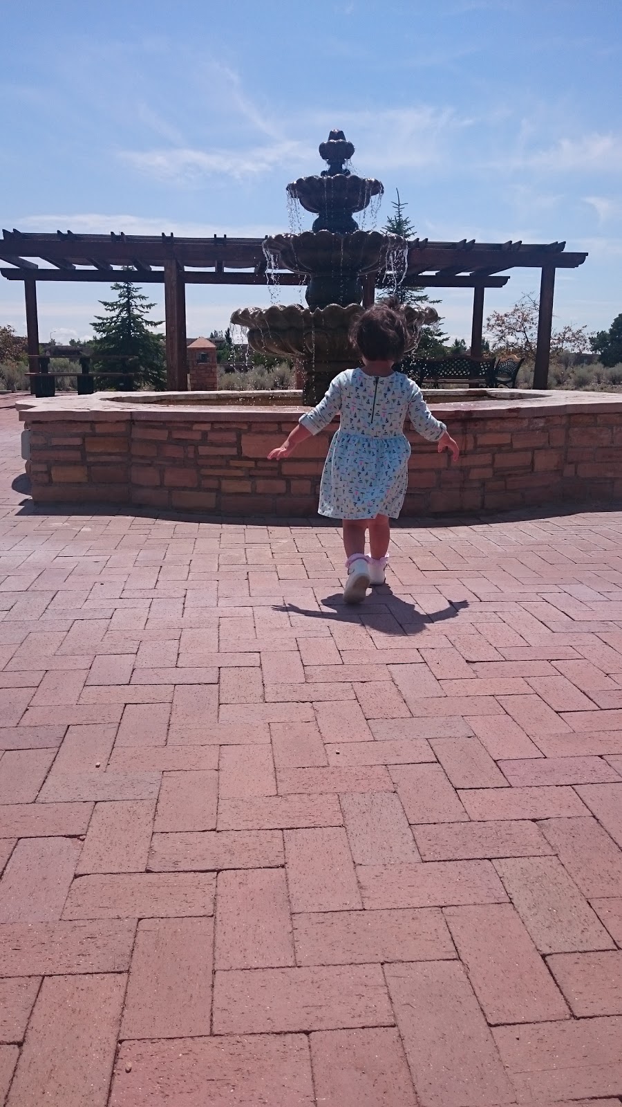 Cafe Aldea | cafe | 60 Avenida Aldea, Santa Fe, NM 87507, USA | 5054732877 OR +1 505-473-2877