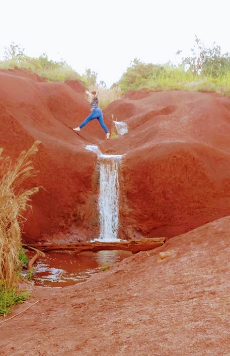 Hanaleishaveice | restaurant | 1308 Lang Ave Suite B, Orlando, FL 32803, USA | 4077441388 OR +1 407-744-1388