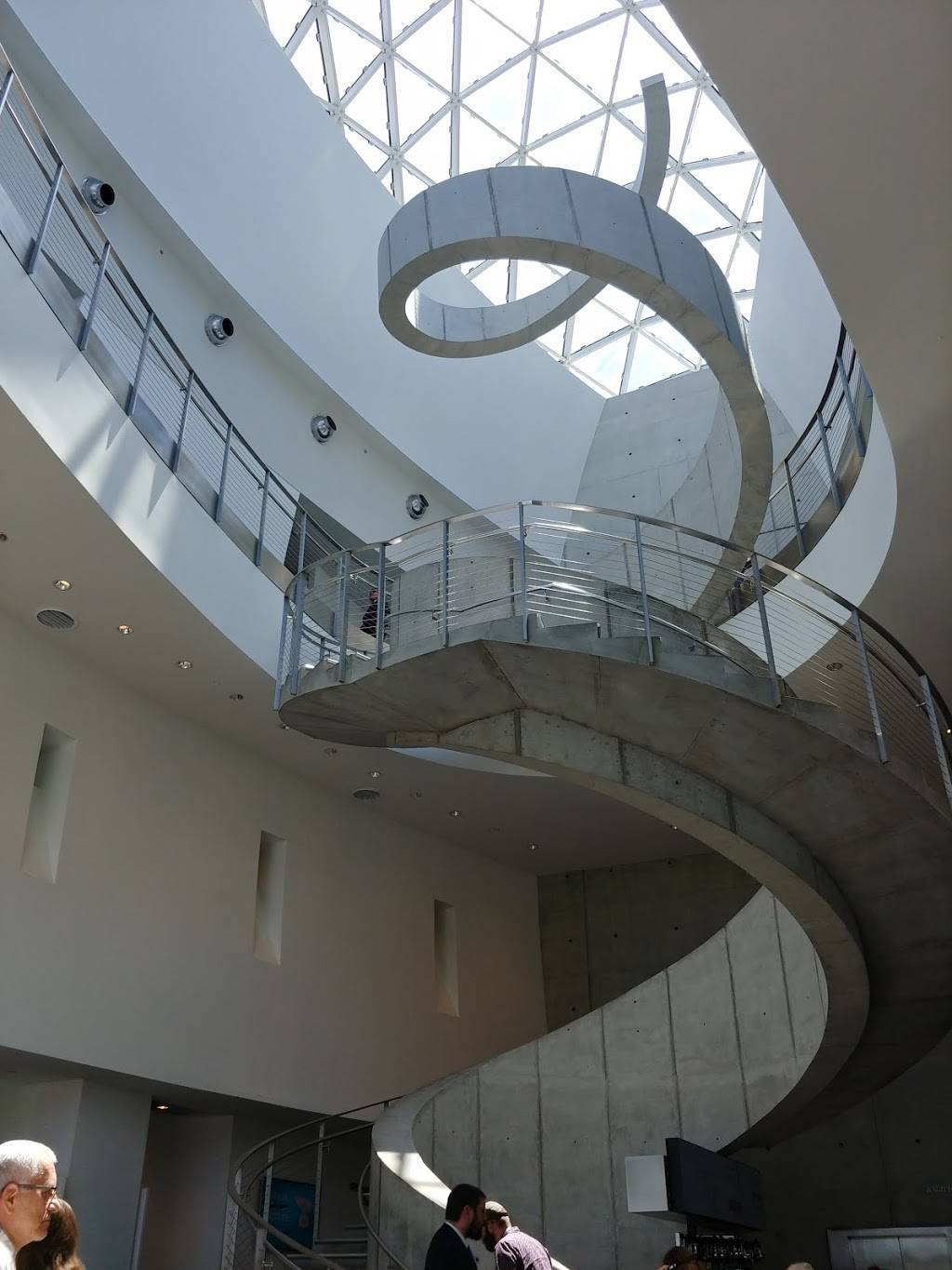 Cafe Gala | cafe | 1 Dali Blvd, St. Petersburg, FL 33701, USA | 7276234725 OR +1 727-623-4725