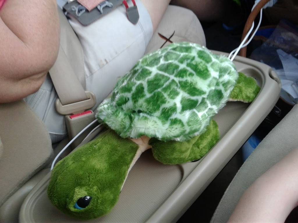 Sonic Drive-In | restaurant | 11361 Ocean Hwy, Pawleys Island, SC 29585, USA | 8439790068 OR +1 843-979-0068