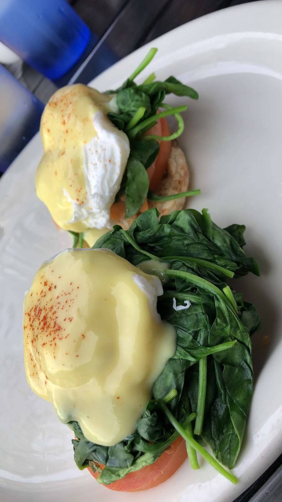 Mustard Seed Cafe | restaurant | 1948 Hillhurst Ave, Los Angeles, CA 90027, USA | 3236600670 OR +1 323-660-0670