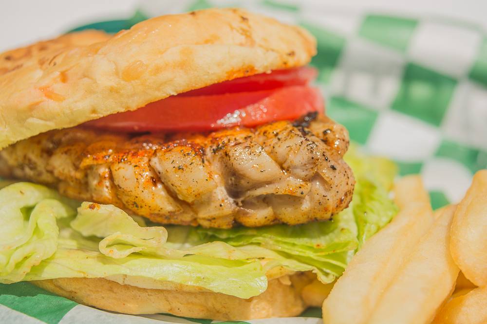 Cooters Restaurant & Bar | restaurant | 423 Poinsettia Ave, Clearwater Beach, FL 33767, USA | 7274622668 OR +1 727-462-2668