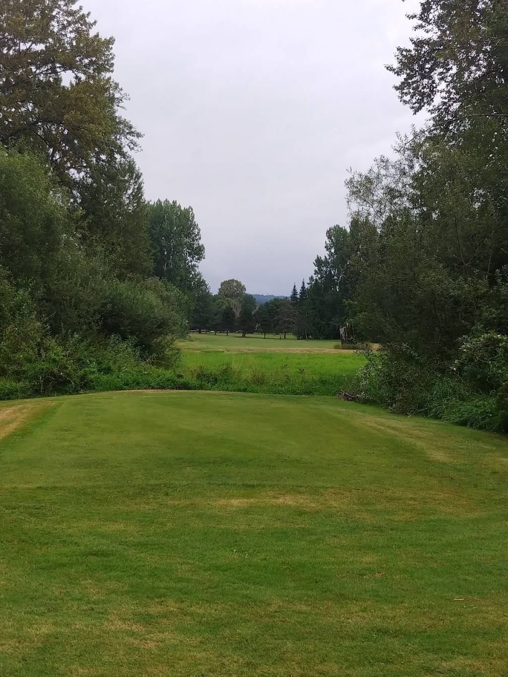 The Blue Heron Golf Course | restaurant | 1810 W Snoqualmie River Rd NE, Carnation, WA 98014, USA | 4253335015 OR +1 425-333-5015