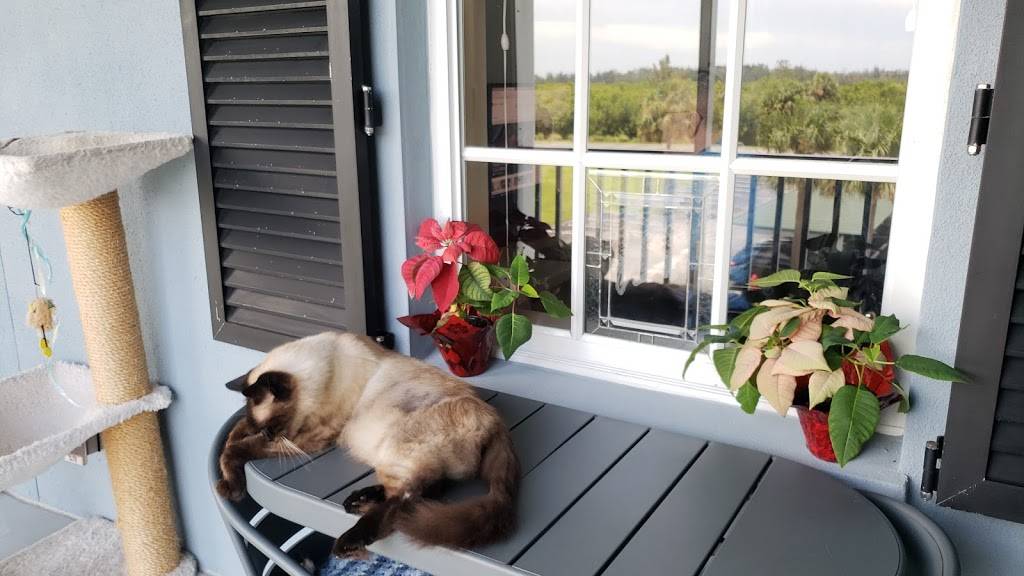 The Tides | restaurant | 3103 Cardinal Dr, Vero Beach, FL 32963, USA | 7722343966 OR +1 772-234-3966