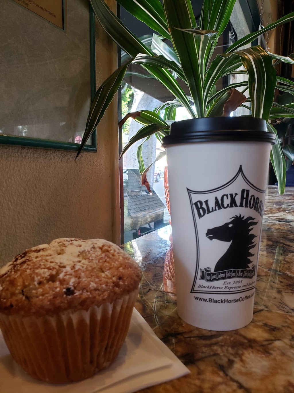BlackHorse Espresso & Bakery | cafe | 1065 Higuera St, San Luis Obispo, CA 93401, USA | 8057831300 OR +1 805-783-1300