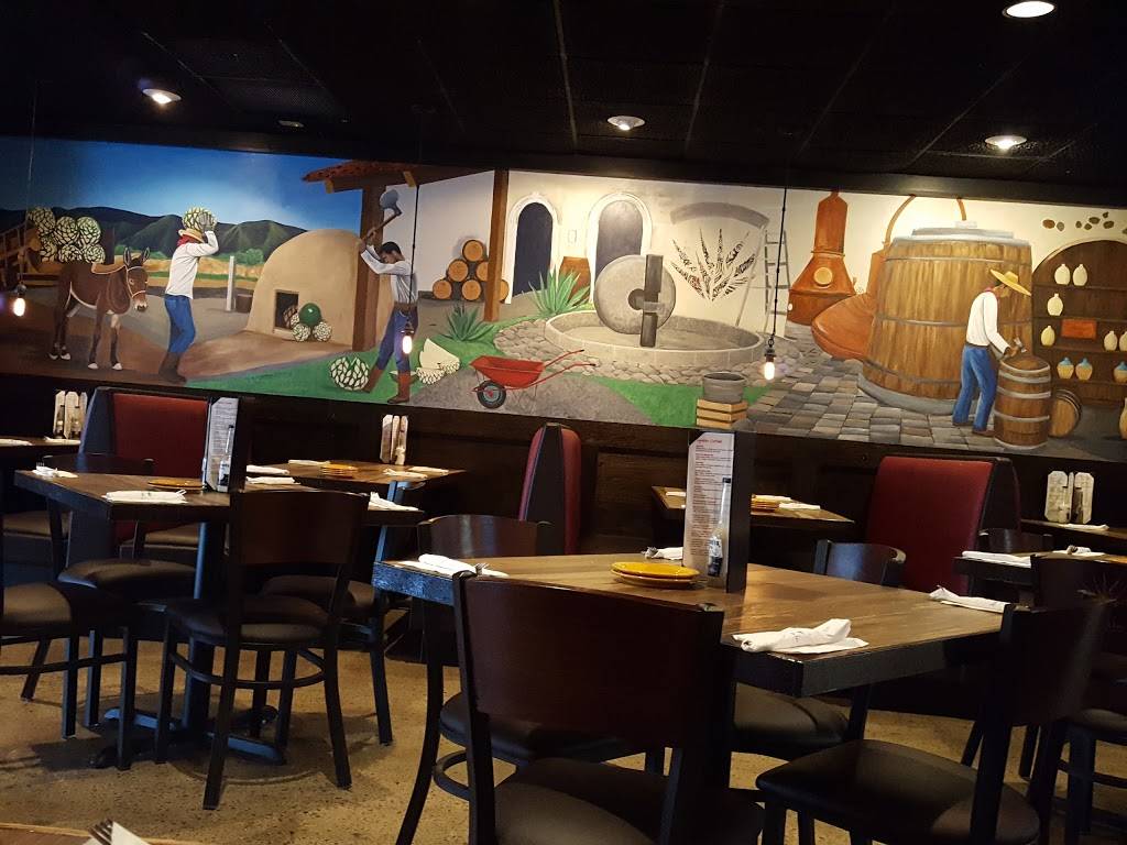 Tekela | restaurant | 5147 Main St, Sylvania, OH 43560, USA | 4195170233 OR +1 419-517-0233