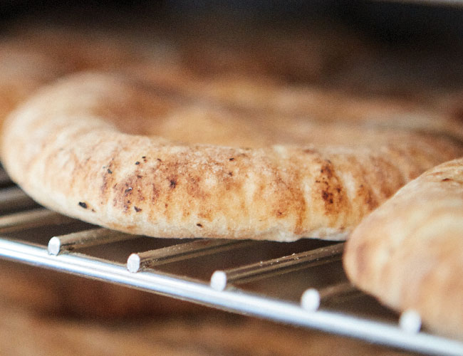 Vish Hummus Hollywood | restaurant | 2893 Stirling Rd, Hollywood, FL 33021, USA | 9544048855 OR +1 954-404-8855