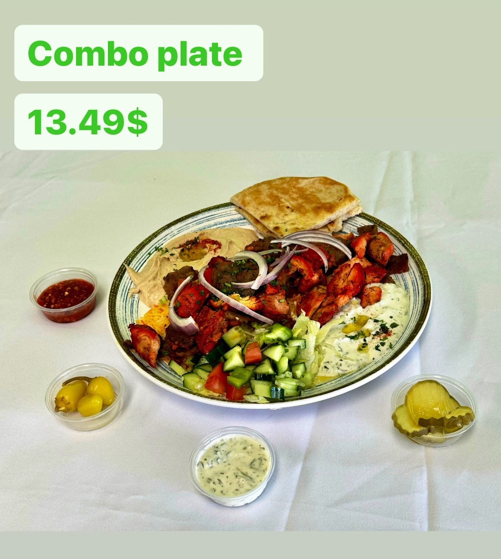 Harir Gyro and Burger | restaurant | 9270 Greenback Ln, Orangevale, CA 95662, USA | 9167077511 OR +1 916-707-7511